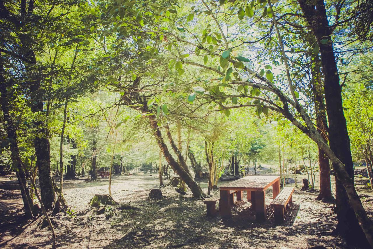 Llaima Camp Villa Curacautín Kültér fotó