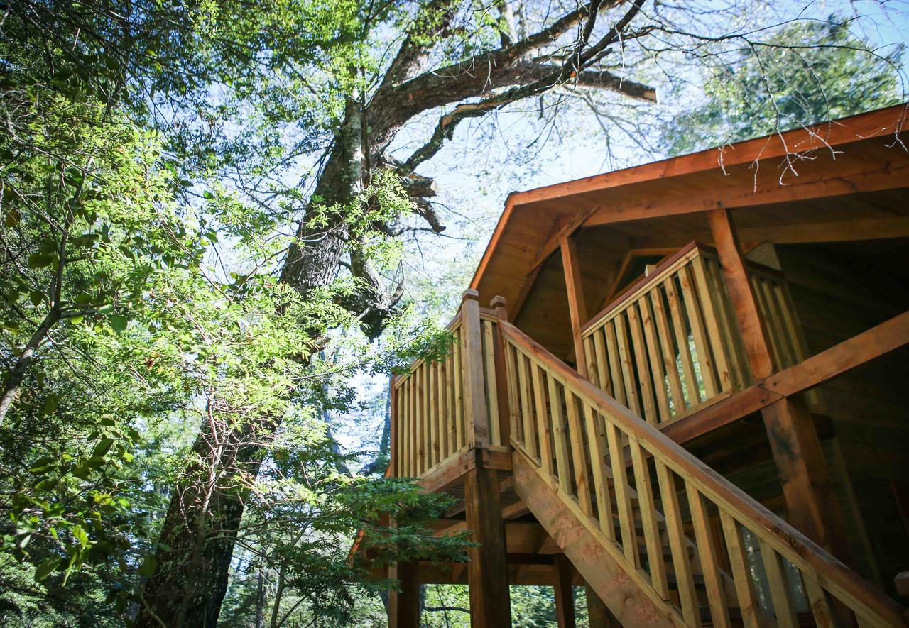 Llaima Camp Villa Curacautín Kültér fotó