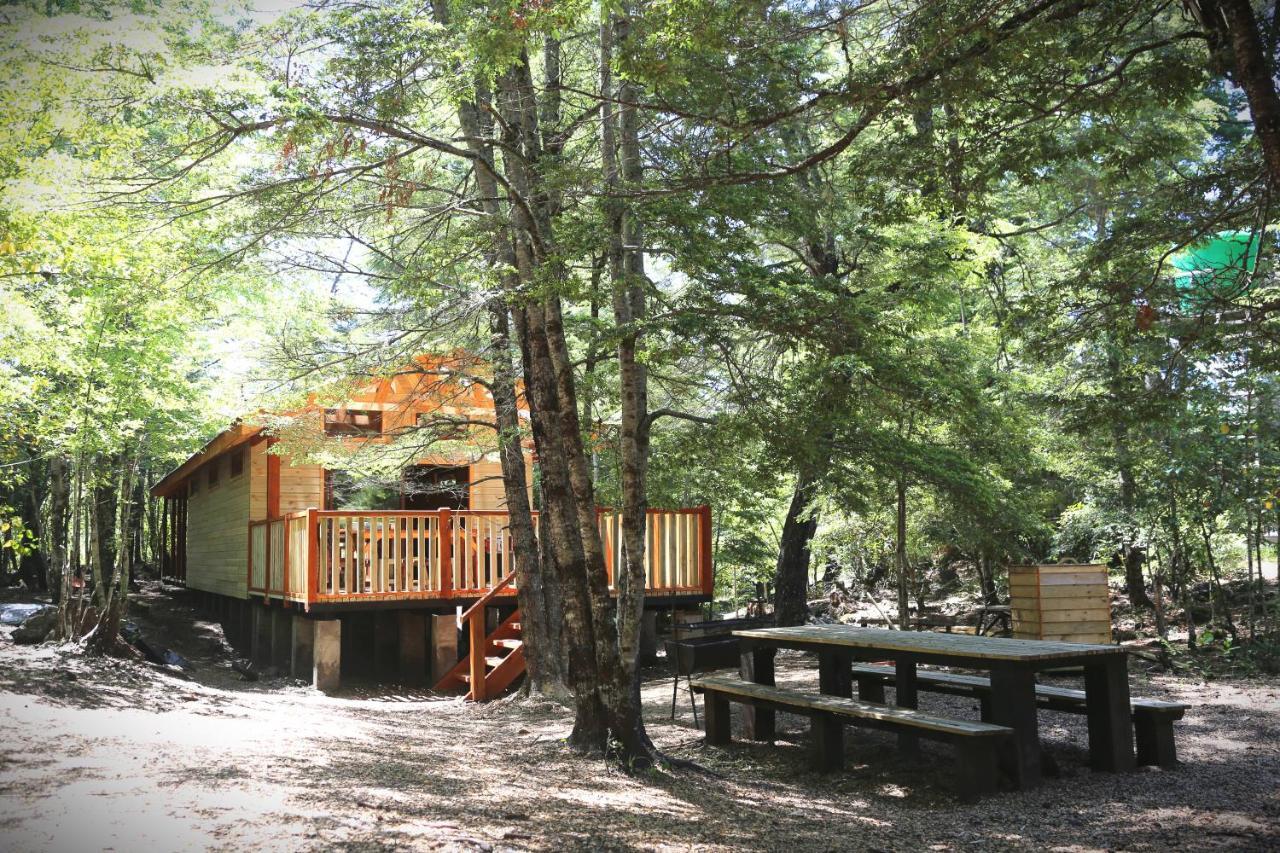 Llaima Camp Villa Curacautín Kültér fotó